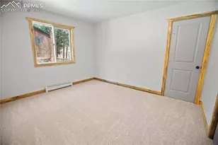 117 Rabbil Crk Trl, Florissant, CO 80816 - Photo 49