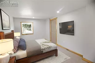 117 Rabbil Crk Trl, Florissant, CO 80816 - Photo 19