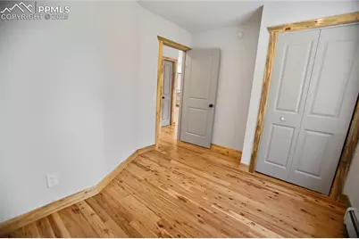 117 Rabbil Creek Trail, Florissant, CO 80816 - Photo 35