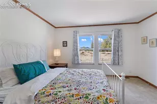 109 Pawnee Pl, Florissant, CO 80816 - Photo 31