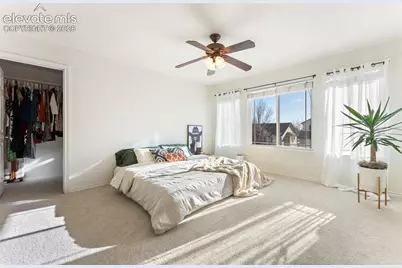 1442 Lookout Springs Drive, Colorado Springs, CO 80921 - Photo 15