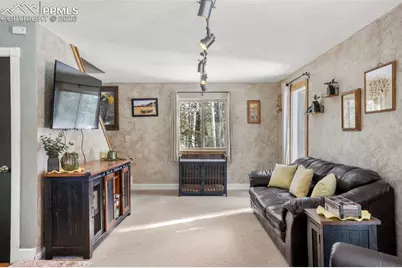 4076 Omer Lane, Divide, CO 80814 - Photo 3