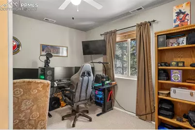 4076 Omer Lane, Divide, CO 80814 - Photo 15