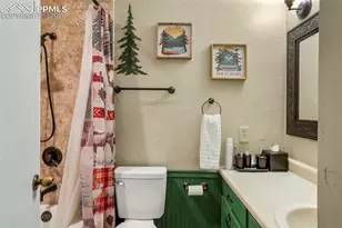 4076 Omer Ln, Divide, CO 80814 - Photo 19