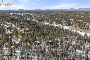 4076 Omer Ln, Divide, CO 80814 - Photo 35