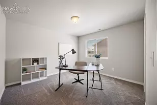 10815 Lavanya Pl, Fountain, CO 80817 - Photo 31