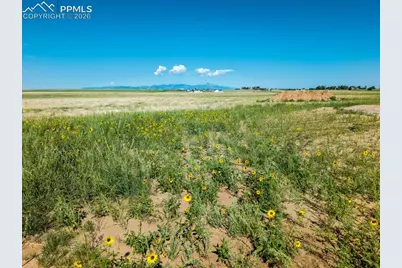 20375 Silverado Hill View, Colorado Springs, CO 80928 - Photo 9
