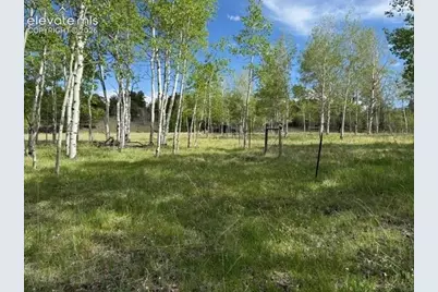 417 Aspen Way Drive, Florissant, CO 80816 - Photo 15