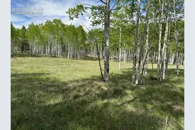 417 Aspen Way Drive, Florissant, CO 80816 - Photo 11