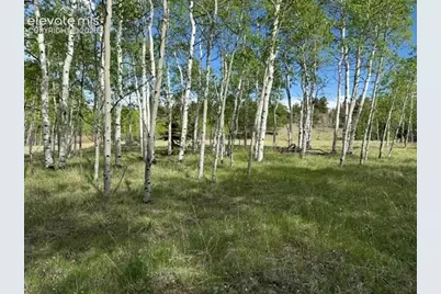 417 Aspen Way Drive, Florissant, CO 80816 - Photo 17
