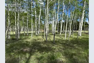 417 Aspen Way Drive, Florissant, CO 80816 - Photo 13
