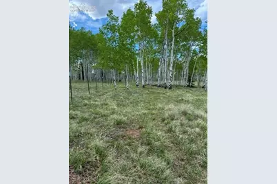 417 Aspen Way Drive, Florissant, CO 80816 - Photo 3