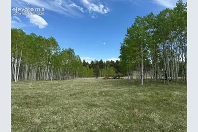 417 Aspen Way Drive, Florissant, CO 80816 - Photo 21