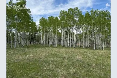 417 Aspen Way Drive, Florissant, CO 80816 - Photo 23