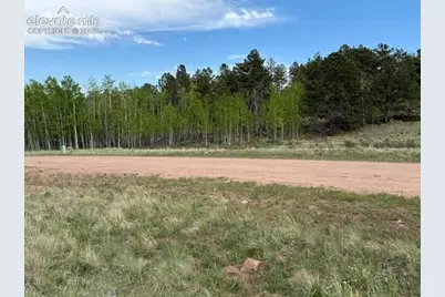 417 Aspen Way Drive, Florissant, CO 80816 - Photo 29