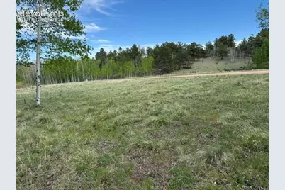 417 Aspen Way Drive, Florissant, CO 80816 - Photo 9