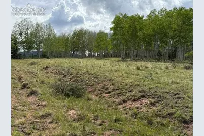 417 Aspen Way Drive, Florissant, CO 80816 - Photo 7