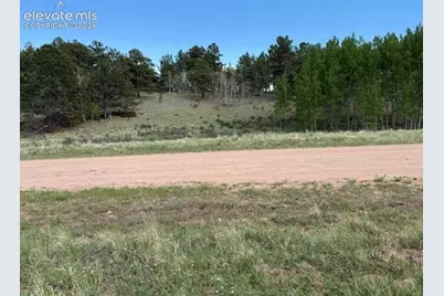 417 Aspen Way Drive, Florissant, CO 80816 - Photo 27