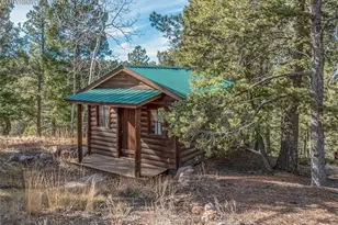 528 Mohawk Heights, Florissant, CO 80816 - Photo 49