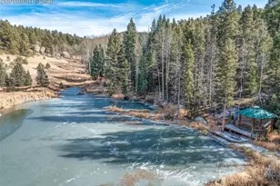 528 Mohawk Heights, Florissant, CO 80816 - Photo 43