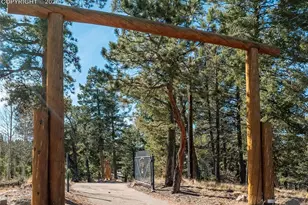 528 Mohawk Heights, Florissant, CO 80816 - Photo 5