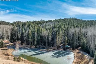 528 Mohawk Heights, Florissant, CO 80816 - Photo 41