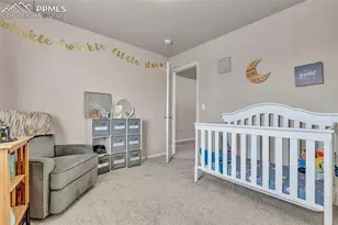 3091 Shikra View, Colorado Springs, CO 80916 - Photo 27