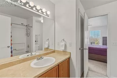 8704 Bamboo Grove, Colorado Springs, CO 80951 - Photo 23