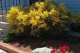 6879 Chippewa Rd, Colorado Springs, CO 80915 - Photo 3