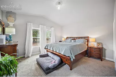 1101 Ptarmigan Drive, Woodland Park, CO 80863 - Photo 15