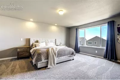 7664 Alpine Daisy Drive, Colorado Springs, CO 80925 - Photo 21