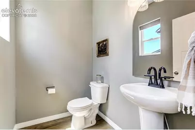 7664 Alpine Daisy Drive, Colorado Springs, CO 80925 - Photo 19