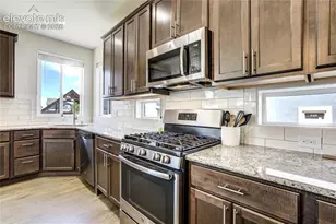 7664 Alpine Daisy Dr, Colorado Springs, CO 80925 - Photo 13