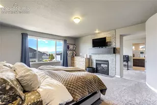 7664 Alpine Daisy Dr, Colorado Springs, CO 80925 - Photo 23