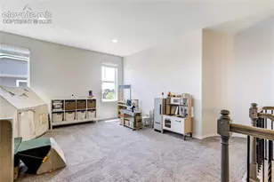7664 Alpine Daisy Dr, Colorado Springs, CO 80925 - Photo 21