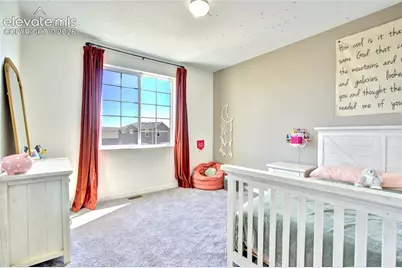 7664 Alpine Daisy Drive, Colorado Springs, CO 80925 - Photo 31
