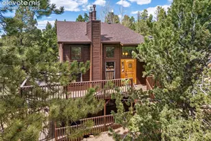 265 Homestead Rd, Divide, CO 80814 - Photo 1