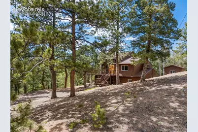 265 Homestead Road, Divide, CO 80814 - Photo 39