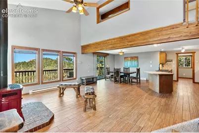 265 Homestead Road, Divide, CO 80814 - Photo 3