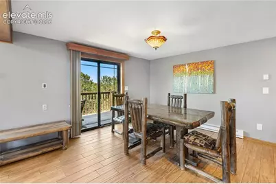 265 Homestead Road, Divide, CO 80814 - Photo 15