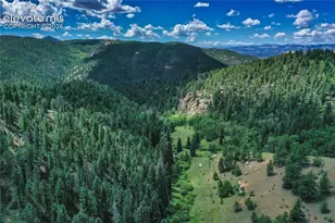 265 Homestead Rd, Divide, CO 80814 - Photo 3