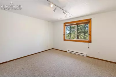 265 Homestead Road, Divide, CO 80814 - Photo 33