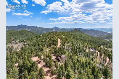 265 Homestead Road, Divide, CO 80814 - Photo 41