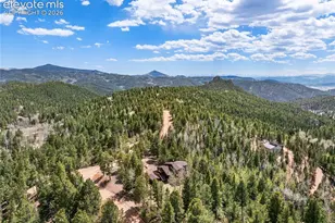 265 Homestead Rd, Divide, CO 80814 - Photo 41