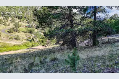83 Penrose Circle, Cripple Creek, CO 80813 - Photo 9