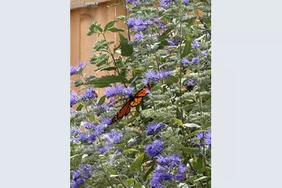 2590 Silent Rain Drive, Colorado Springs, CO 80919 - Photo 41