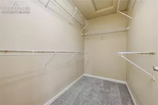 932 Burning Bush Point, Monument, CO 80132 - Photo 15