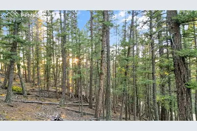 1289 Yorktown Road, Cripple Creek, CO 80813 - Photo 5