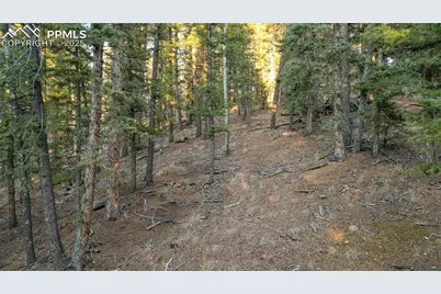 1289 Yorktown Road, Cripple Creek, CO 80813 - Photo 15