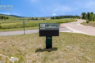407 Silvermoon Hts, Divide, CO 80814 - Photo 19